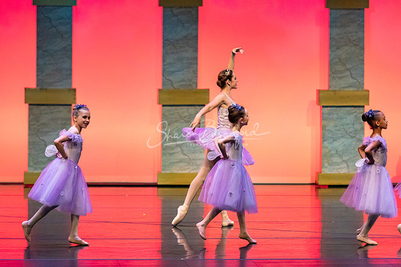 Ballet NTX Sleeping Beauty pc Sharen Bradford-0043