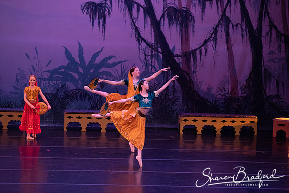TDC La Bayadere pc Sharen Bradford-2920