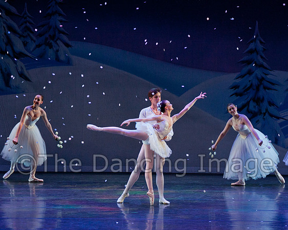 Snow 3246-
