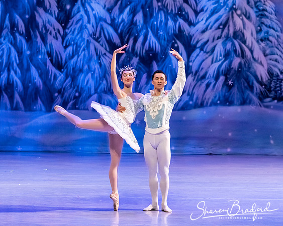 CCBT Nutcracker 19 pc Sharen Bradford-4831