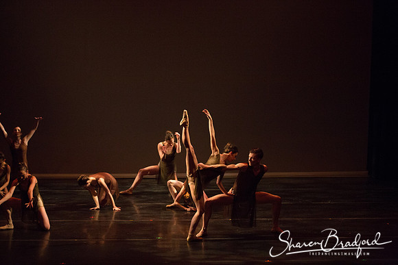Ballet Dallas Seasons pc Sharen Bradford-1405