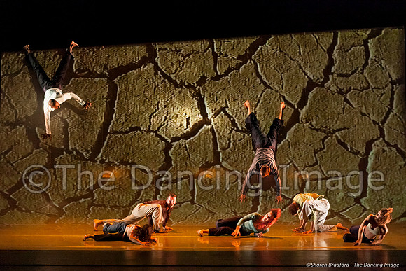 Motionhouse SCATTERED-0543