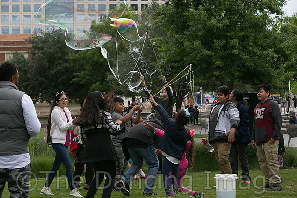 MJS_5233
