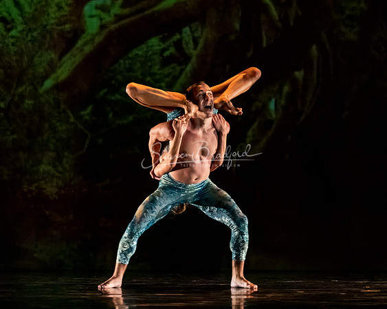 MOMIX Alice pc Sharen Bradford-0966