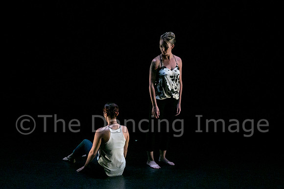 Jacksonville Dance Theatre-0220