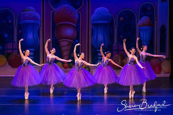 Waltz of the Flowers pc Sharen Bradford-1786