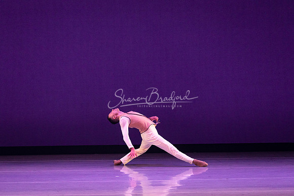 BWD When the Sky Fell Purple pc Sharen Bradford-5492
