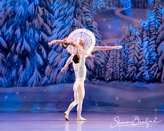 CCBT Nutcracker 19 pc Sharen Bradford-4868