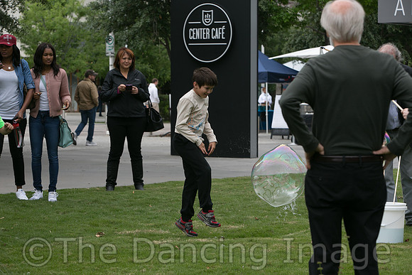MJS_5173