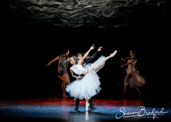 Beijing Dance Theater pc Sharen Bradford-0512