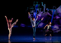 Motionhouse SCATTERED-0136