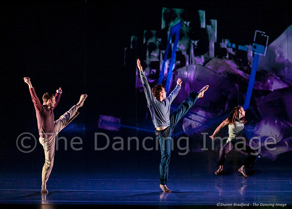 Motionhouse SCATTERED-0136