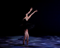 Olga Pavlova_The Dying Swan-3848