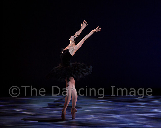 Olga Pavlova_The Dying Swan-3848