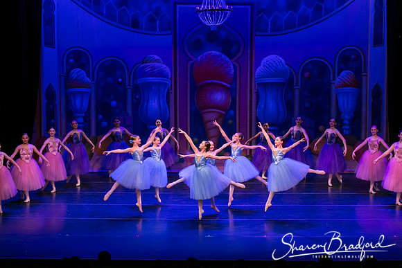 Waltz of the Flowers pc Sharen Bradford-1756