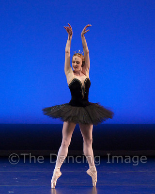Black Swan-1108