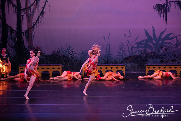 TDC La Bayadere pc Sharen Bradford-3002