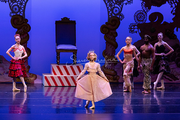 BNT Kingdom of Sweets pc Sharen Bradford-1172