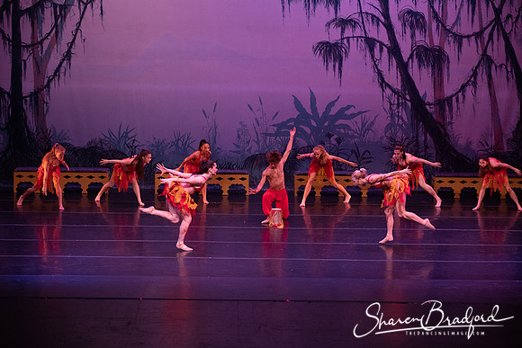 TDC La Bayadere pc Sharen Bradford-3016