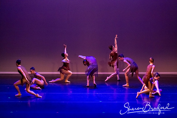 Ballet Dallas Seasons pc Sharen Bradford-1497