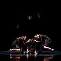 Rhythm in Fusion-5577