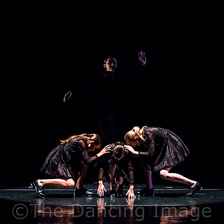 Rhythm in Fusion-5577