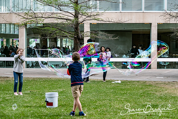 2019 Block Party pc Sharen Bradford-1907
