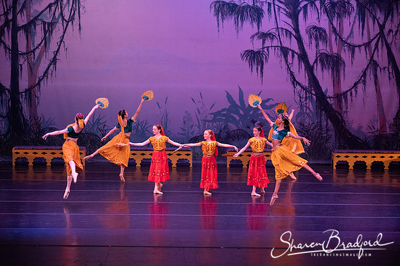 TDC La Bayadere pc Sharen Bradford-2915