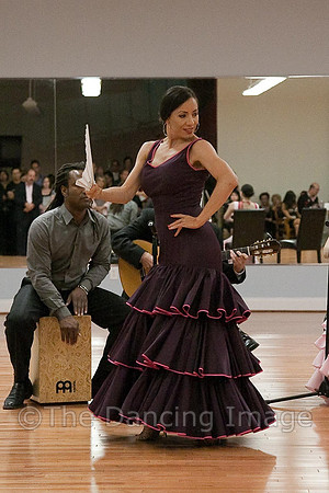 Flamenco-2-52