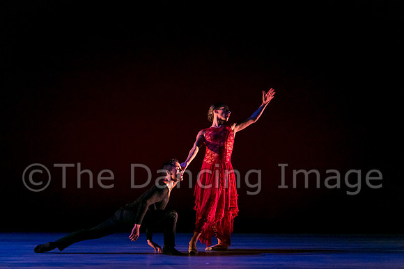 Chado Danse-2834
