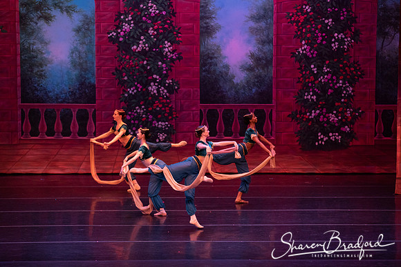 TDC La Bayadere pc Sharen Bradford-2731