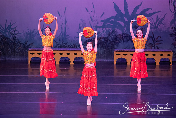 TDC La Bayadere pc Sharen Bradford-2869