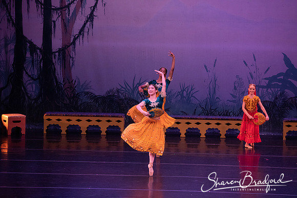 TDC La Bayadere pc Sharen Bradford-2923
