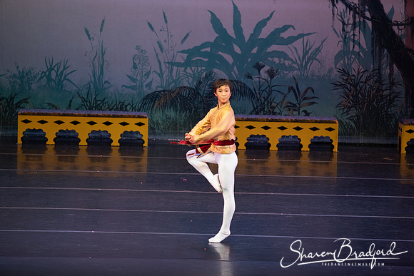 TDC La Bayadere pc Sharen Bradford-2856