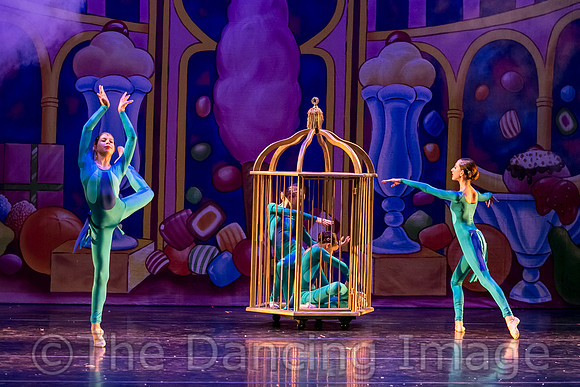 Royale Ballet Nutcracker-1774