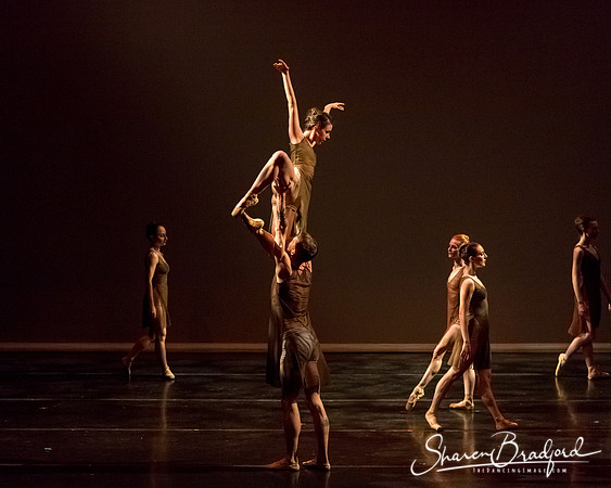Ballet Dallas Seasons pc Sharen Bradford-1424