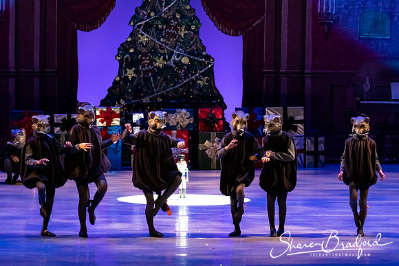 CCBT Nutcracker 19 pc Sharen Bradford-4401