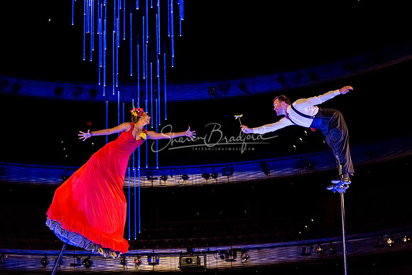 Swoon pc Sharen Bradford-8785