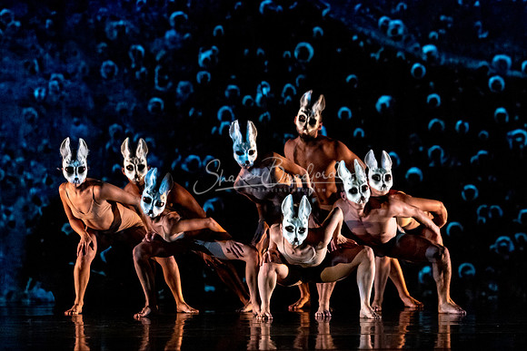 MOMIX Alice pc Sharen Bradford-0166