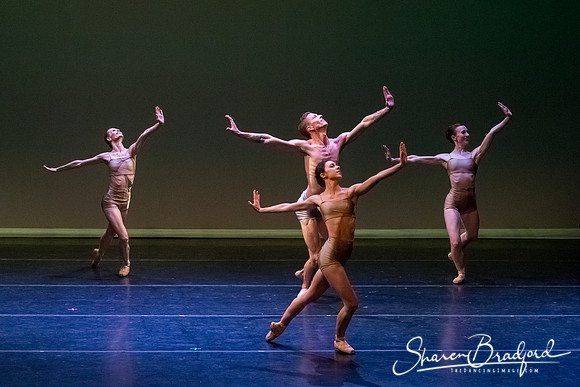 Ballet Dallas Seasons pc Sharen Bradford-1622