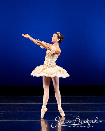 Texas Ballet Theater pc Sharen Bradford-1323