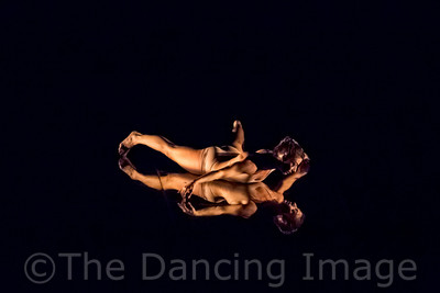 Echoes of Narcissus pc Sharen Bradford-0655