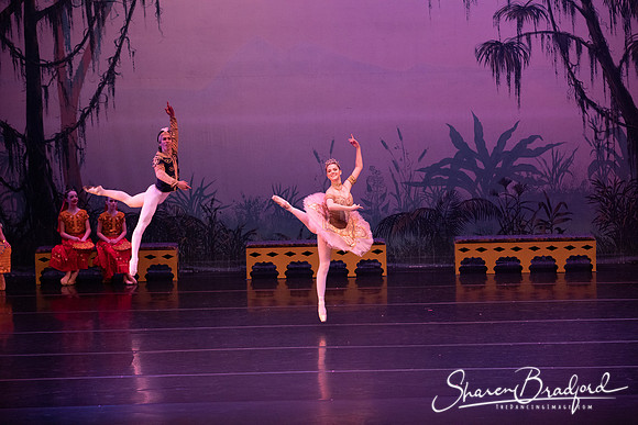 TDC La Bayadere pc Sharen Bradford-3098
