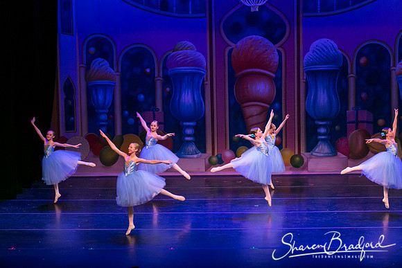 Waltz of the Flowers pc Sharen Bradford-1815