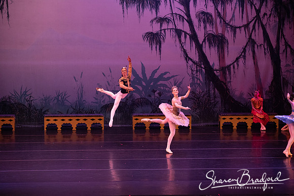TDC La Bayadere pc Sharen Bradford-3097