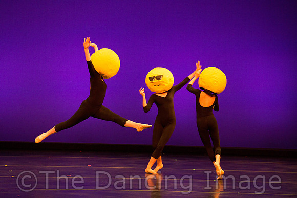 Ballet Ensemble of Texas-1512