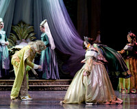 TB Sleeping Beauty Wed.-0005