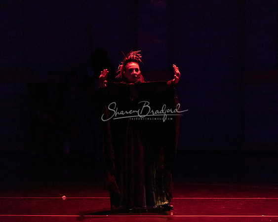 Ballet NTX Sleeping Beauty pc Sharen Bradford-1572