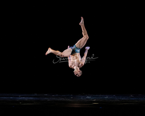 MOMIX Alice pc Sharen Bradford-1271