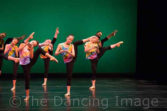 Ballet Ensemble of Texas-1472